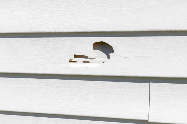 Best Same-Day Junk Removal Services  in Sun City West, AZ